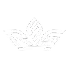 RSG 皇家電子 logo